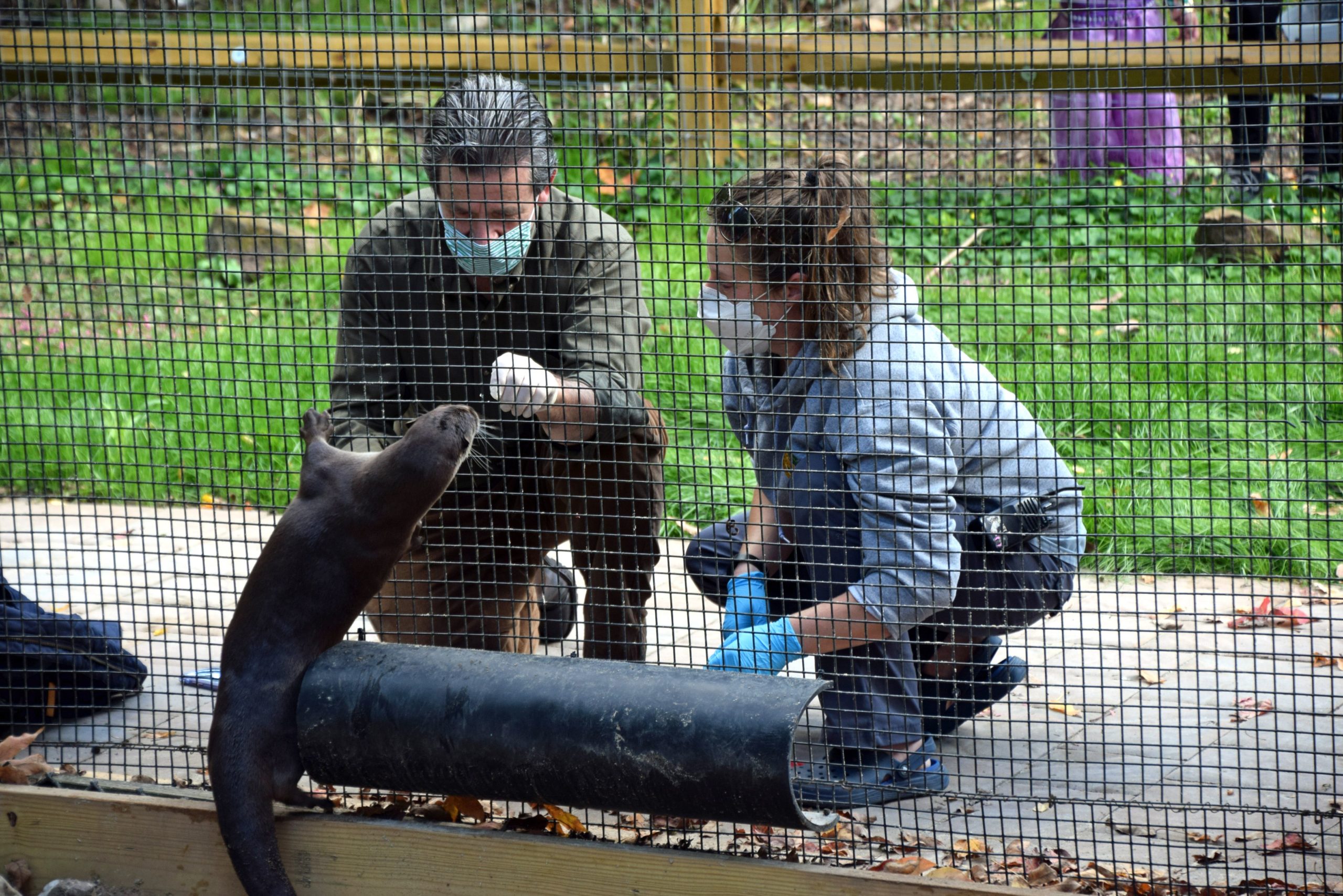 Safe Visit | Elmwood Park Zoo