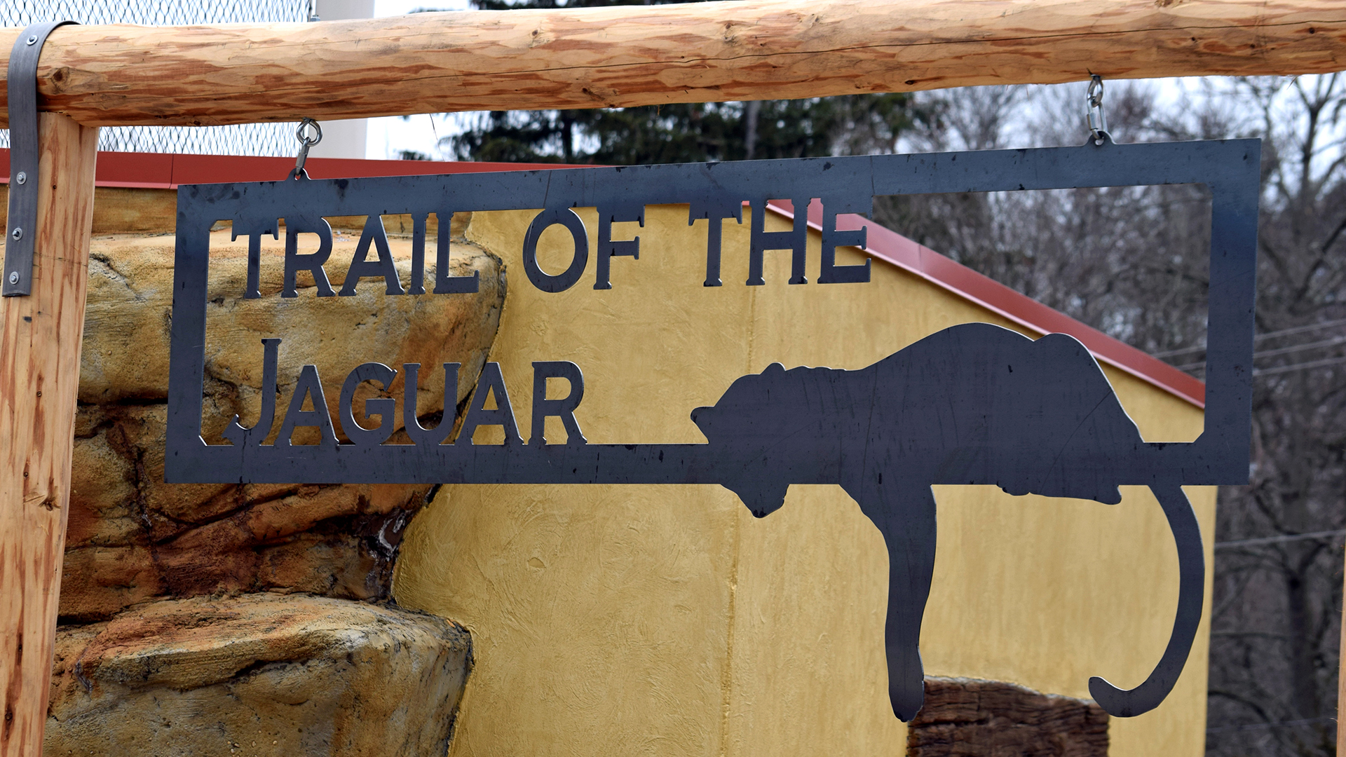 Guided Zoo Tours Elmwood Park Zoo