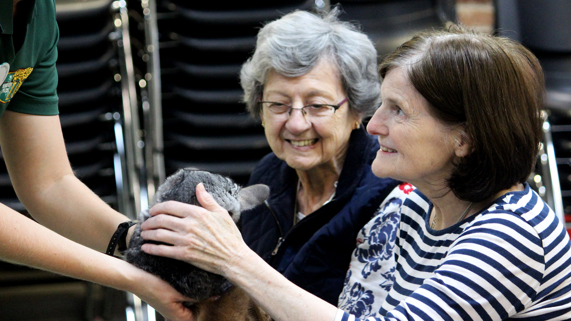 Senior Programs Elmwood Park Zoo