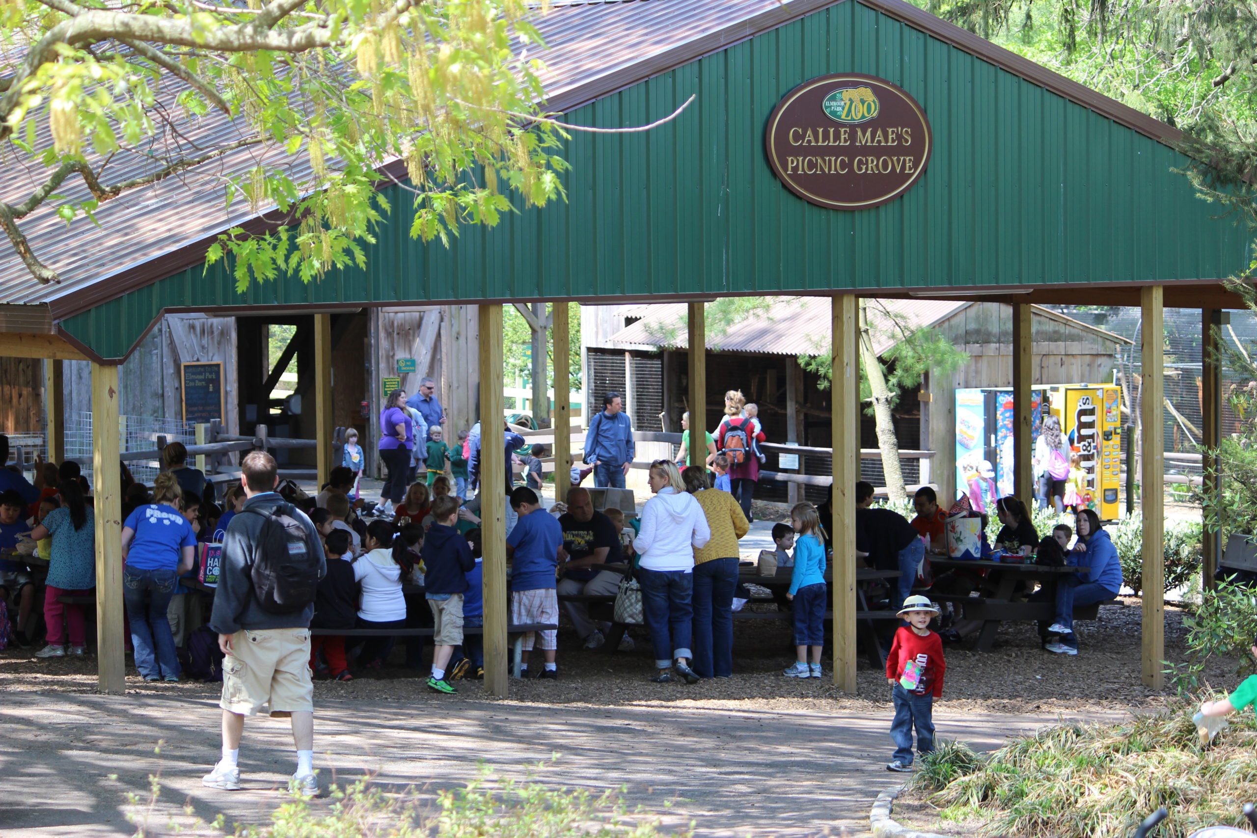 Picnic Pavilion Rental Elmwood Park Zoo