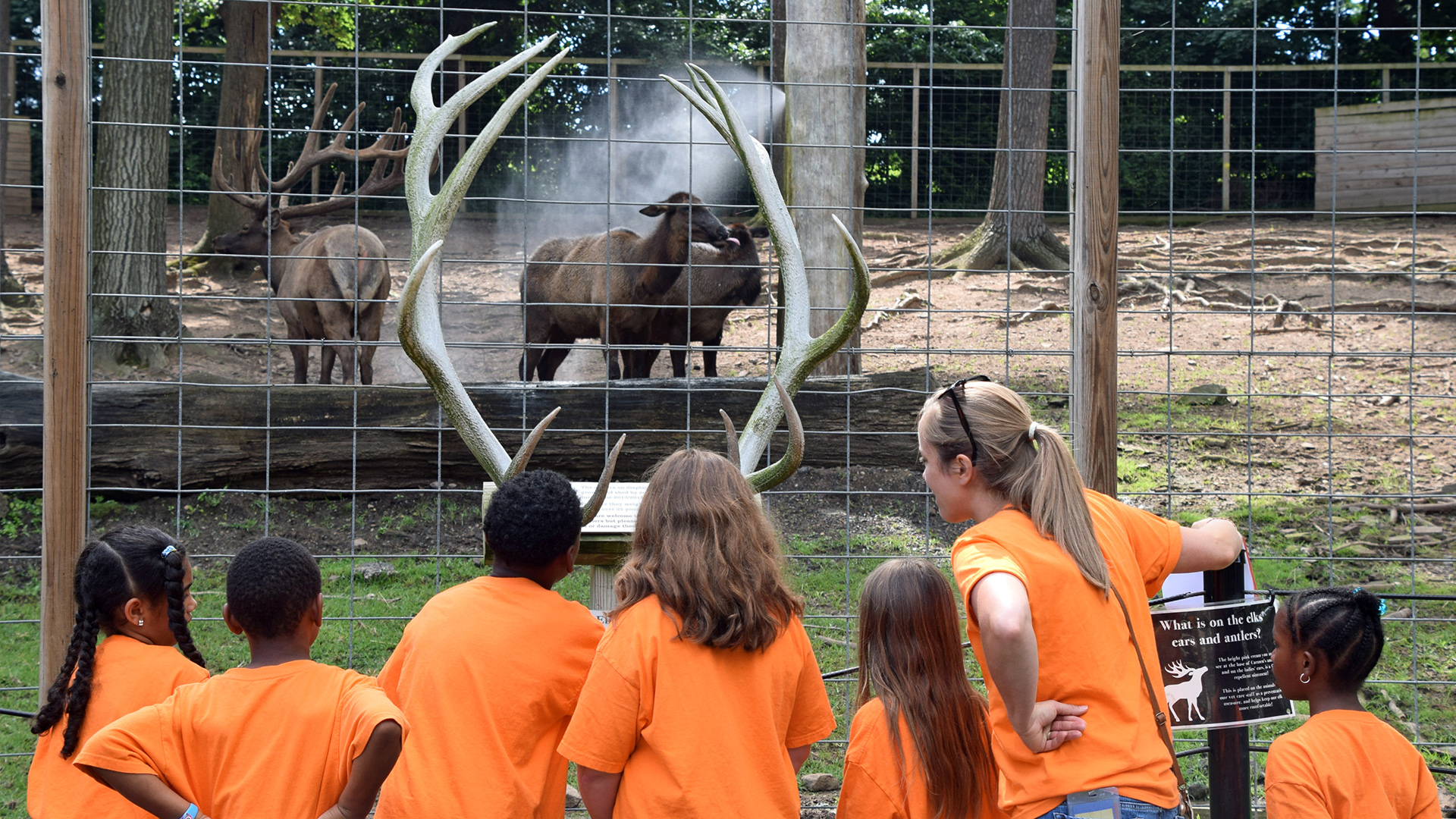 Zoo Camps Elmwood Park Zoo