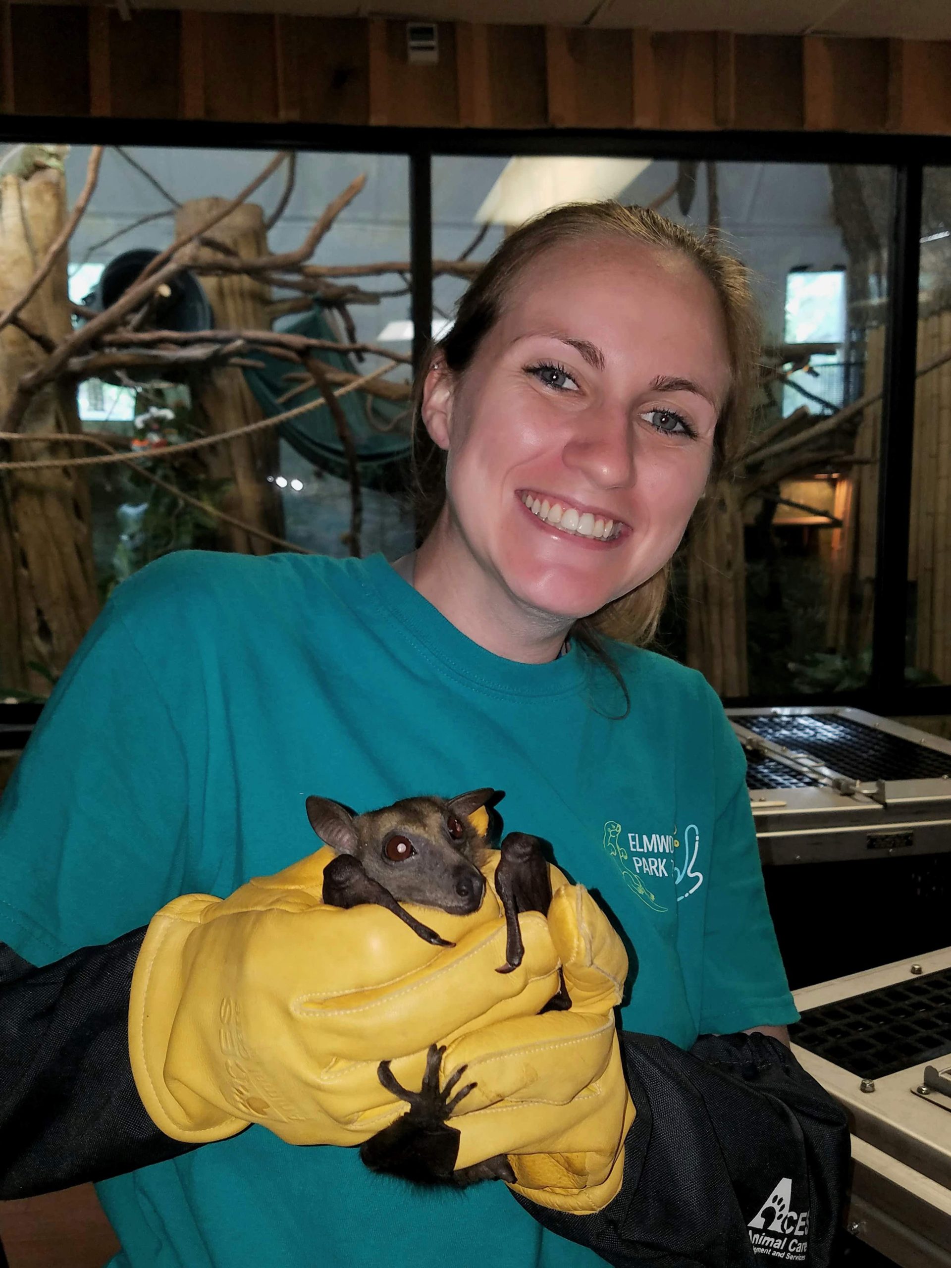 How to a Vet Tech Elmwood Park Zoo