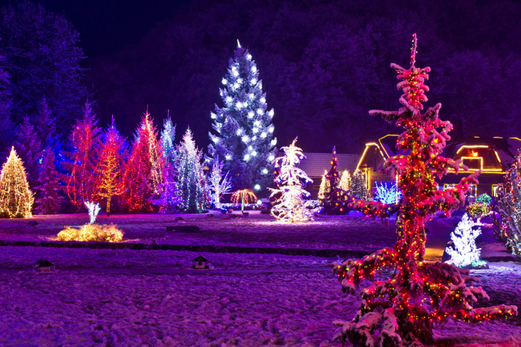 Choosing LEDs for your Holiday Lights - Elmwood Park Zoo