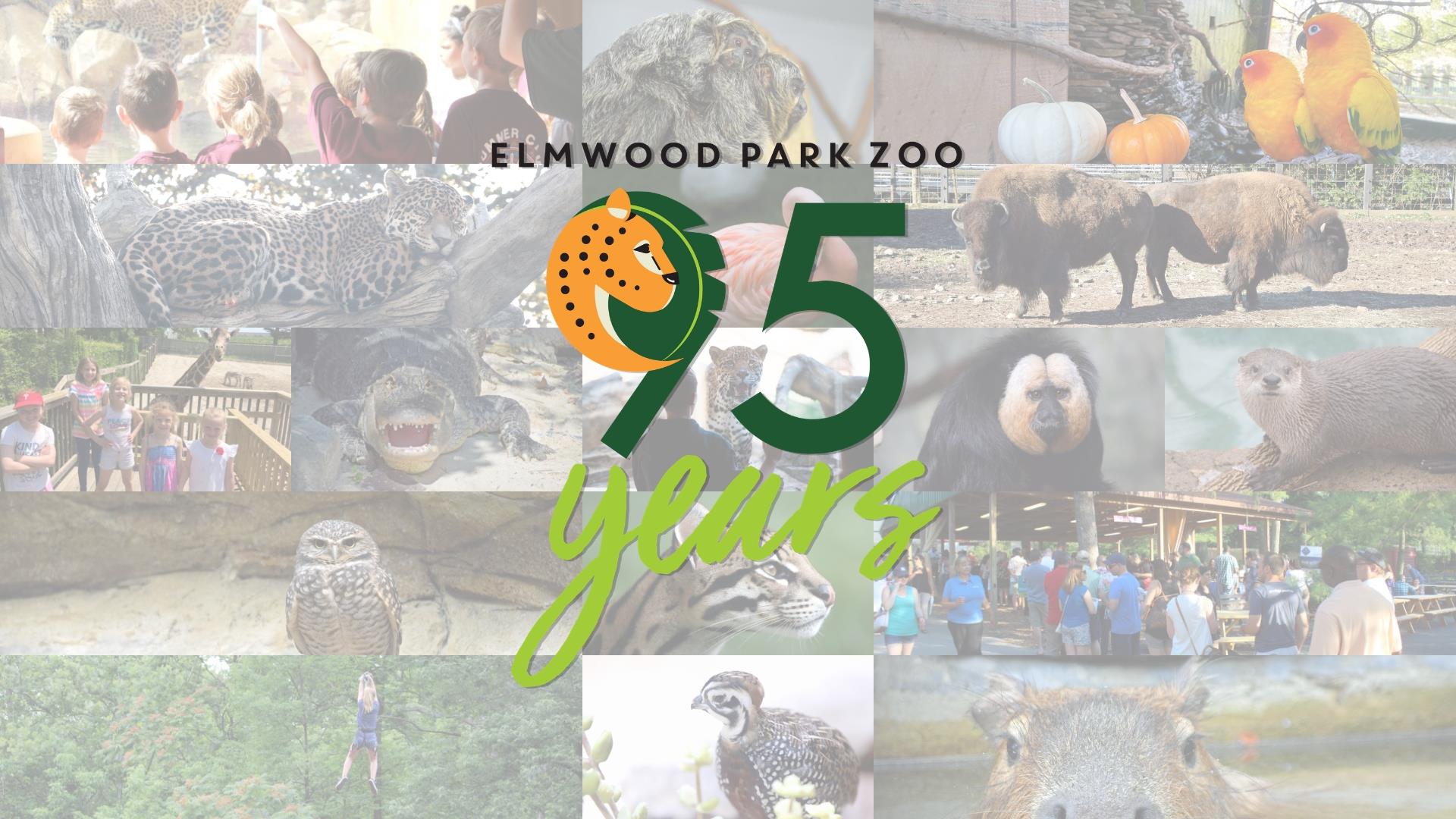 Elmwood Park Zoo Celebrates 95th Anniversary Elmwood Park Zoo