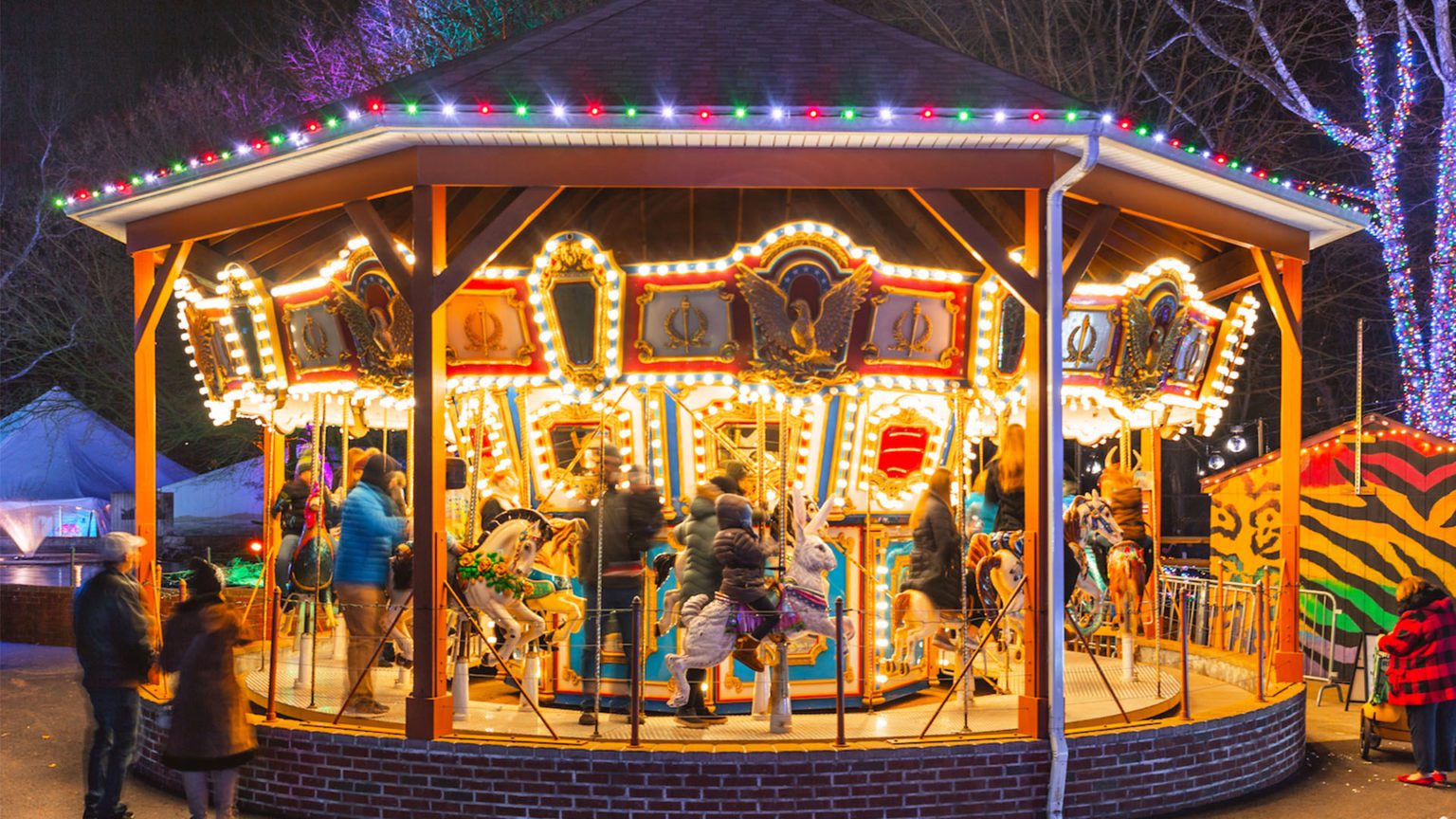 Reserved Ticket Packages Elmwood Park Zoo