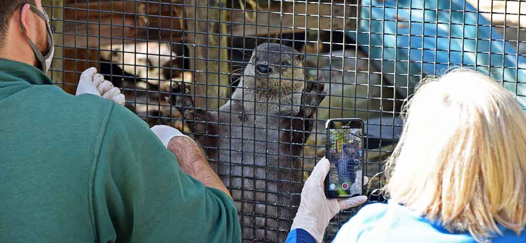 otterfeed2 otterfeed2