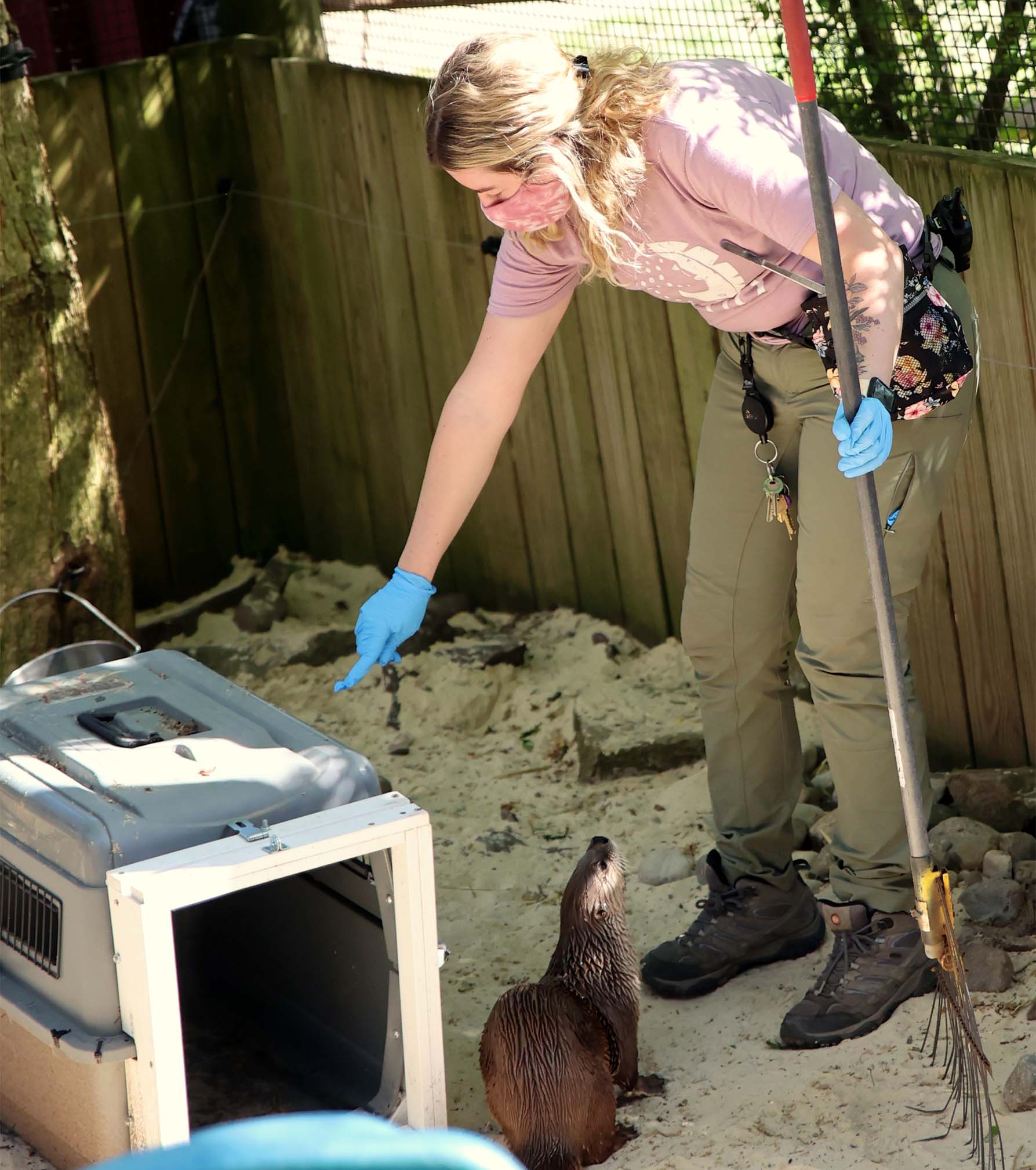 https://www.elmwoodparkzoo.org/wp-content/uploads/2022/05/otter-2.jpg