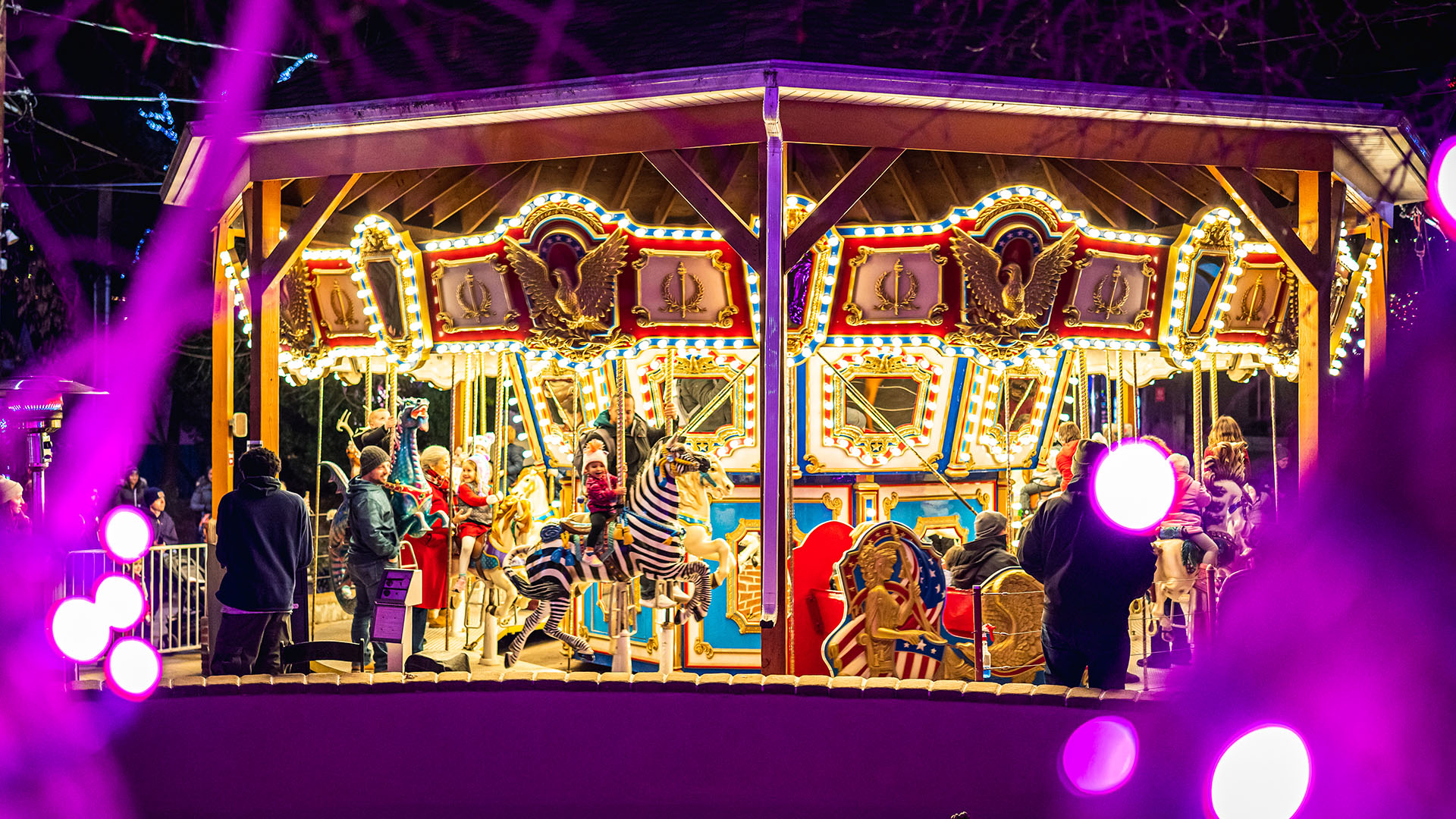 Wild Lights Elmwood Park Zoo
