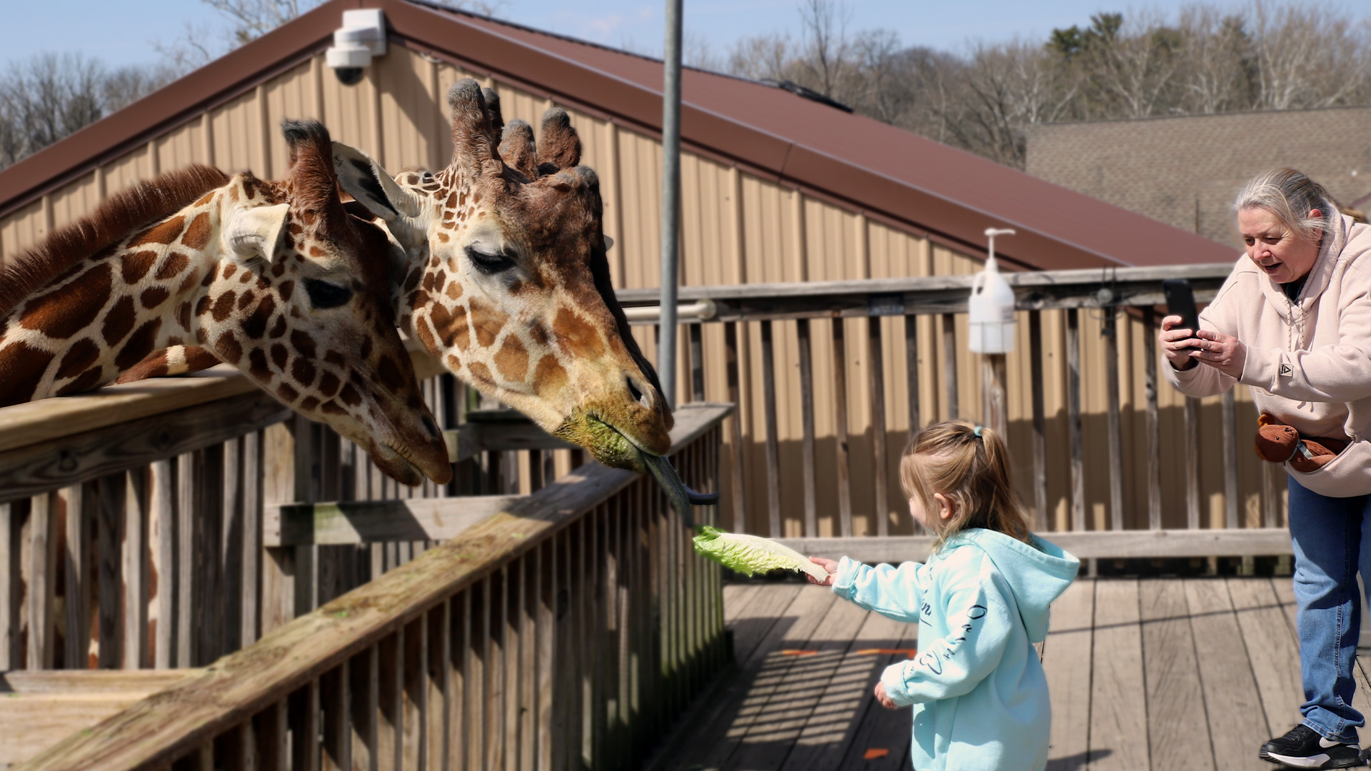 FOUR Program Sponsored By Peco Elmwood Park Zoo