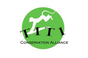 300x200 Titi logo-2